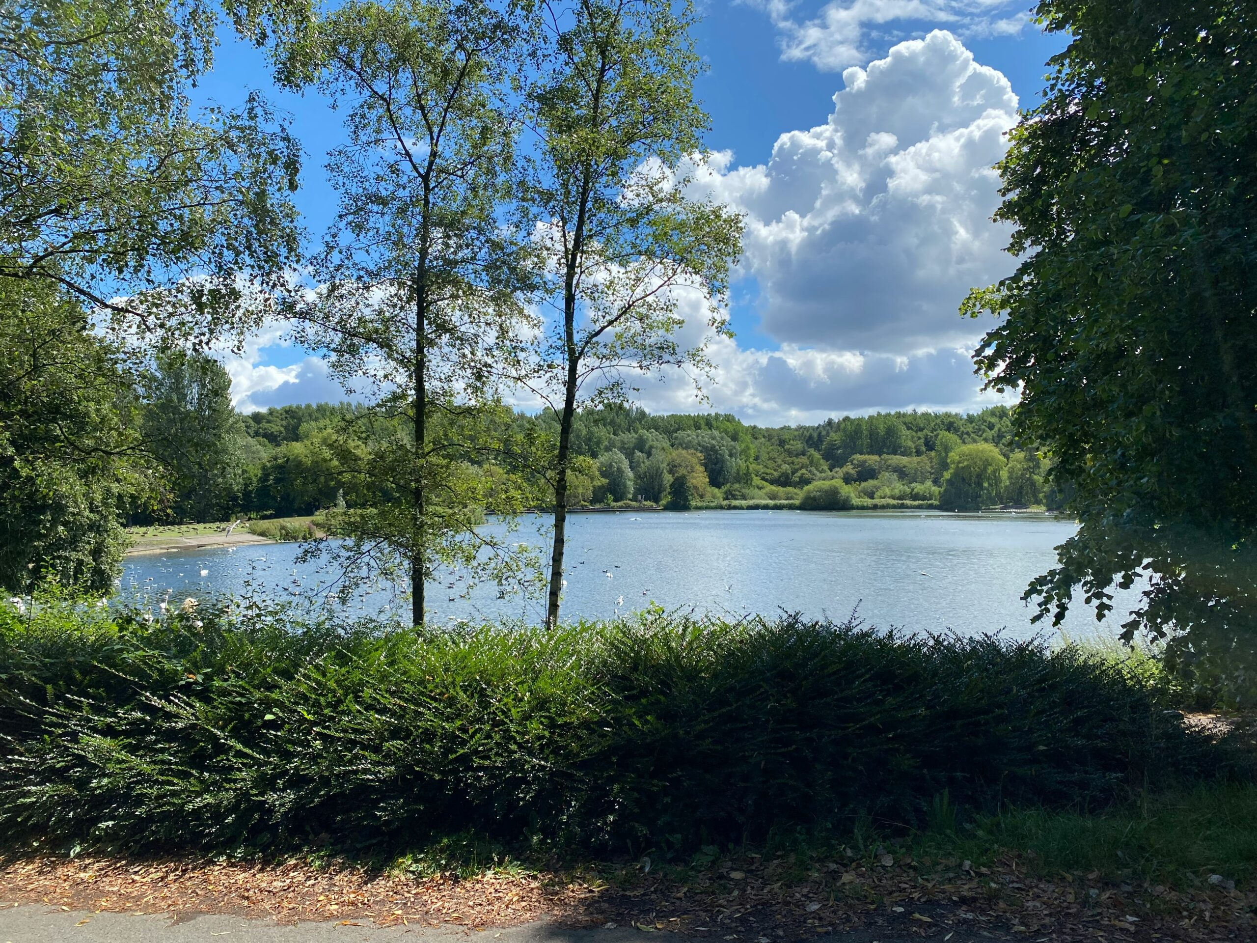 Bolton’s Countryside Advantage: Work-Life Balance for Meetings